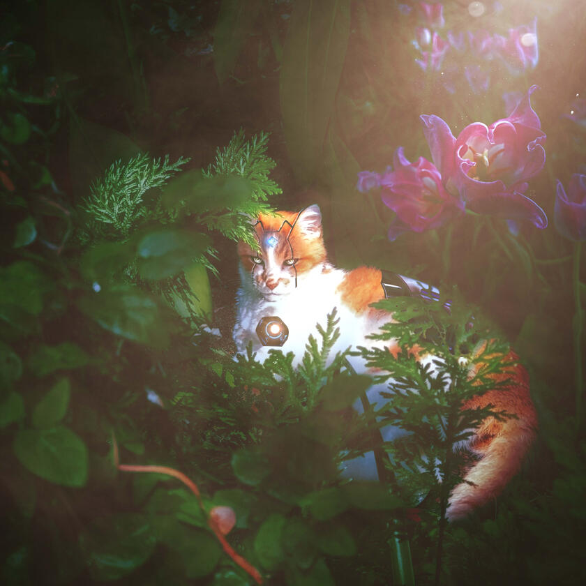 Mango Reloaded (2026)